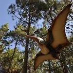 Moderne Mit Privatem Pool Und Meerblick By Interhome Holiday home *