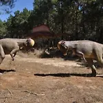 Moderne Mit Privatem Pool Und Meerblick By Interhome *